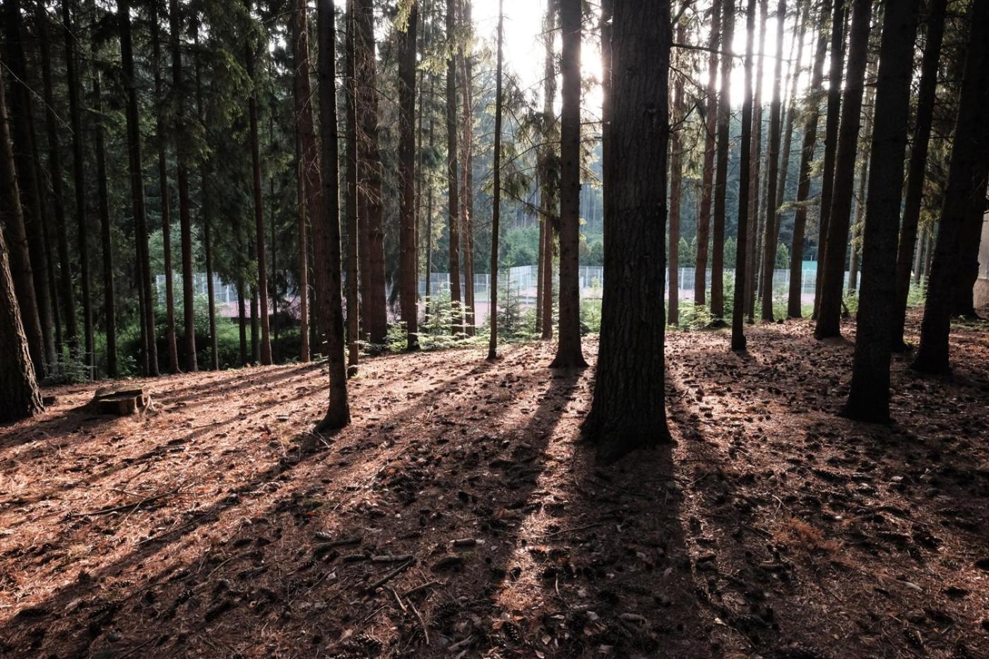 Hotel Kouty Ledeč nad Sázavou Zewnętrze zdjęcie