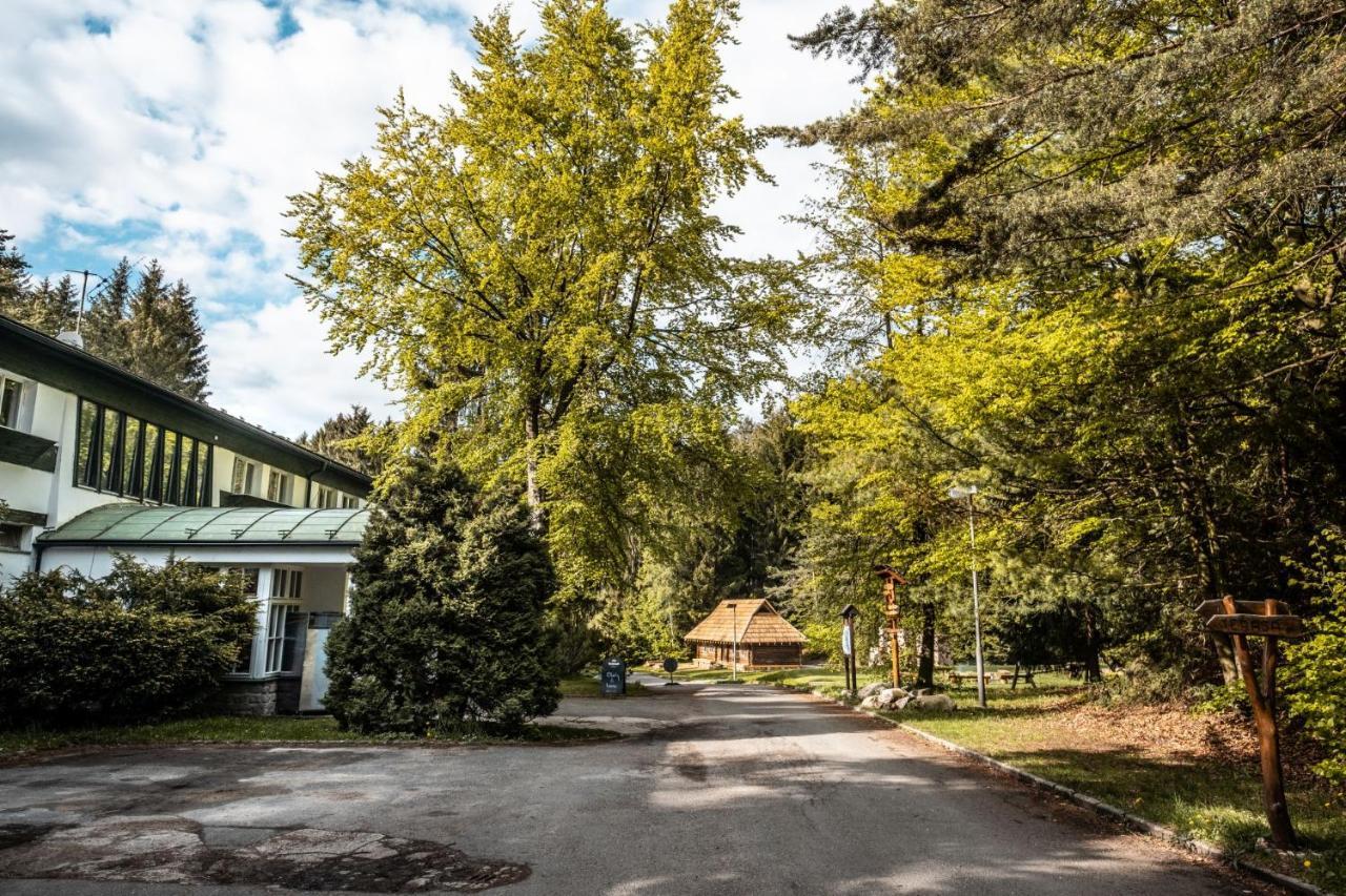 Hotel Kouty Ledeč nad Sázavou Zewnętrze zdjęcie